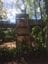 Eden Gardens + Swane's Nursery Tour Image -5b2c6c0c0ab52